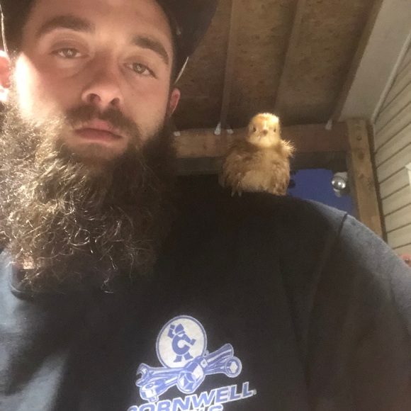 Meet your Posher, Alex - Picture 1 of 1